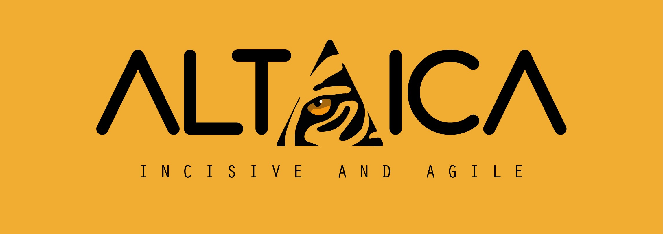 altaica solutions logotype